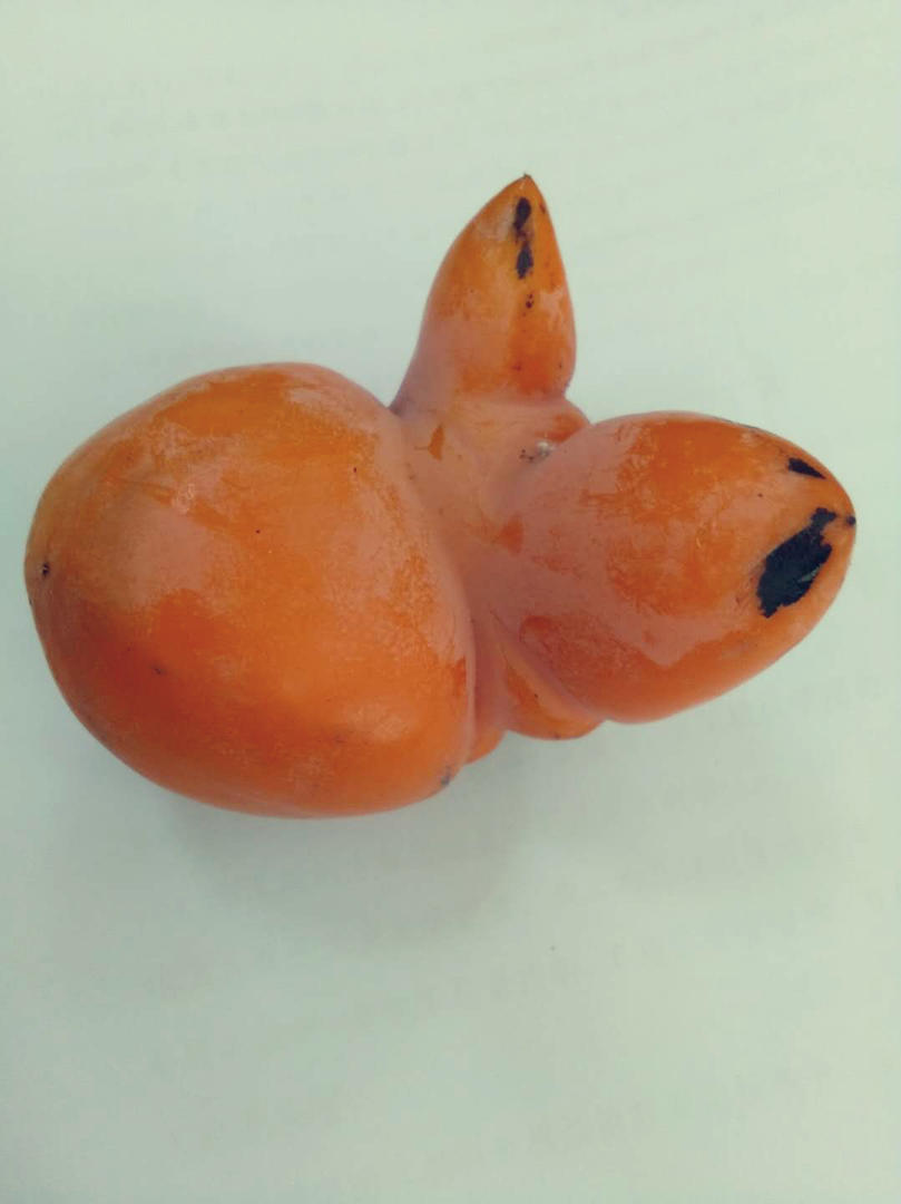柿子果