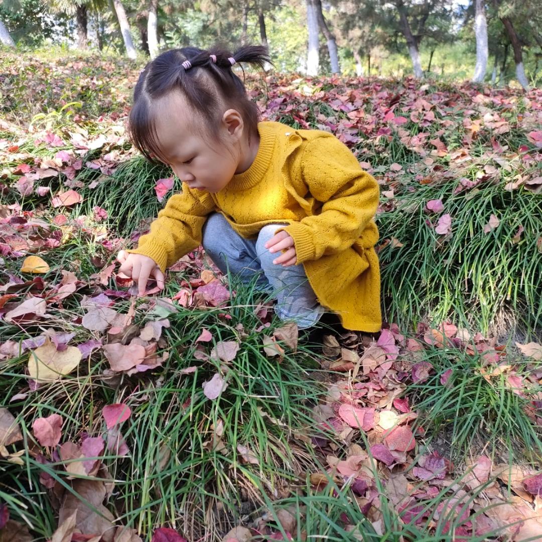 糖糖小老鼠