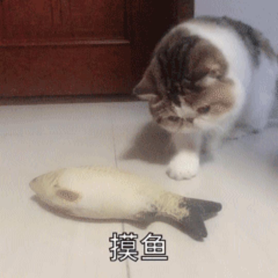 下厨房厨房厨房厨房