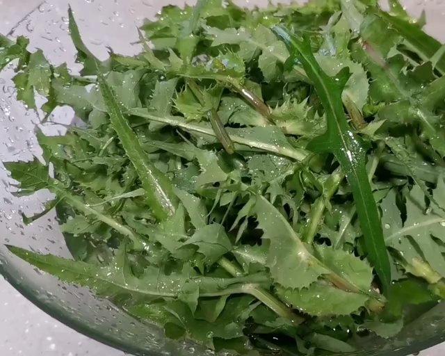 蒲公英粑粑的做法