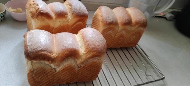 炼乳北海道～冷藏发酵