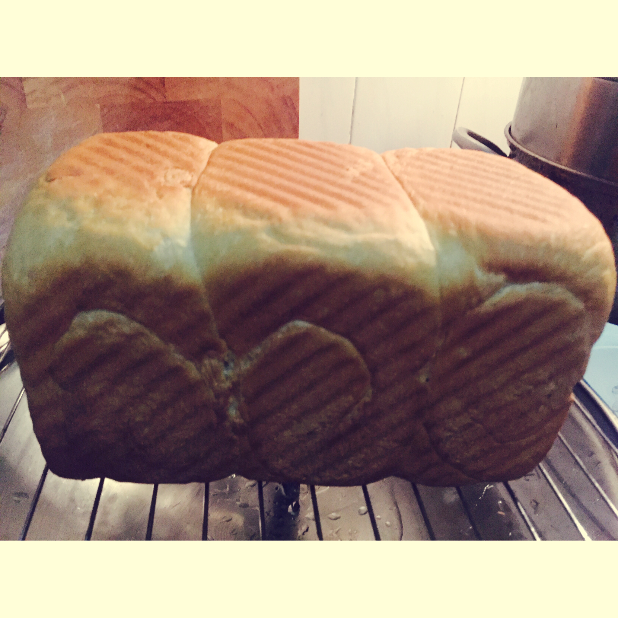 Poolish种（波兰种）吐司——不推荐不行的吐司配方