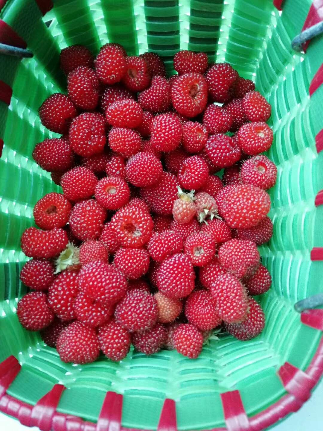 野草莓（覆盆子）的做法
