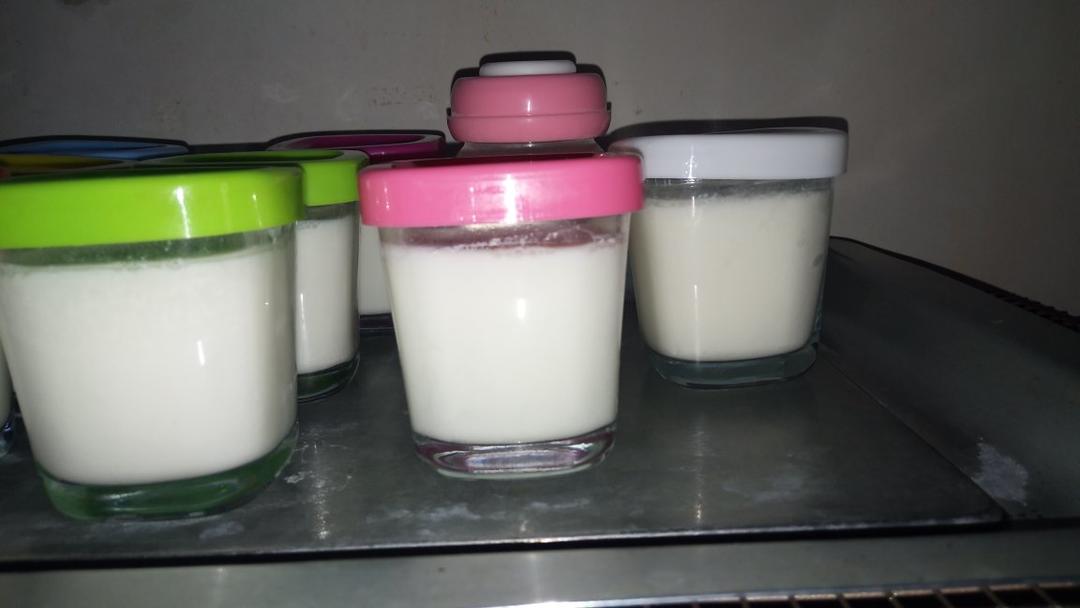 烤箱自制酸奶  Homemade Greek Yoghurt