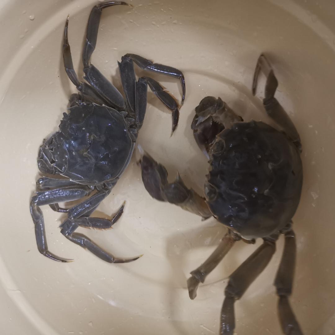 出门左拐是厨房