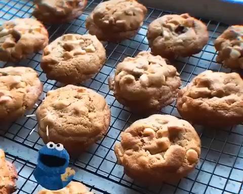 白巧克力夏威夷果软曲奇的做法