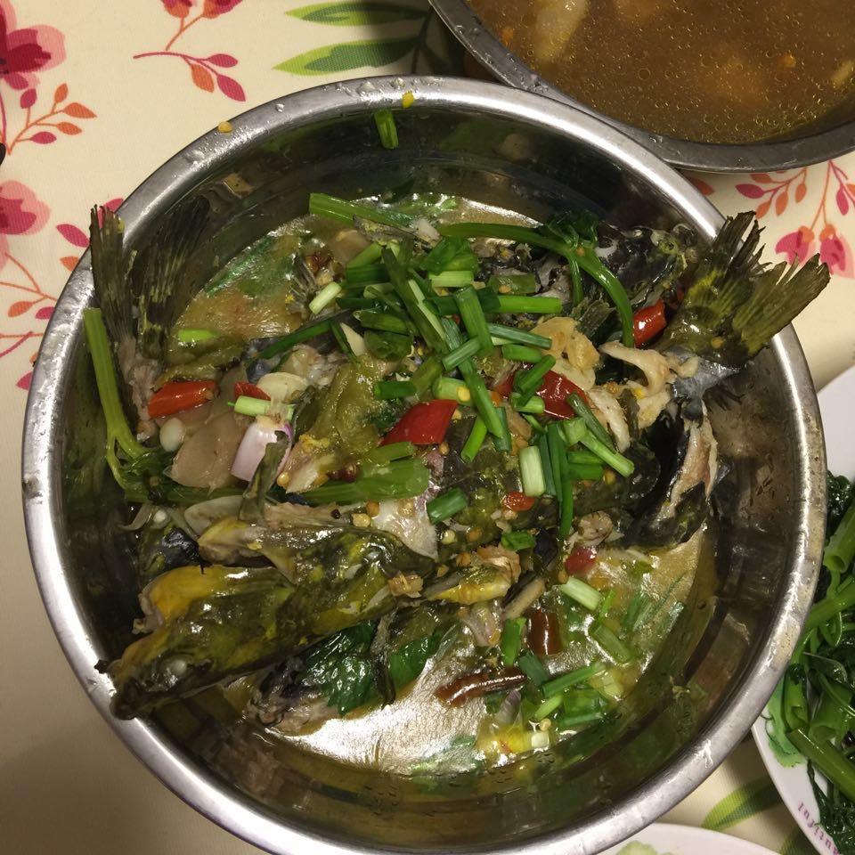 酸菜黄辣丁