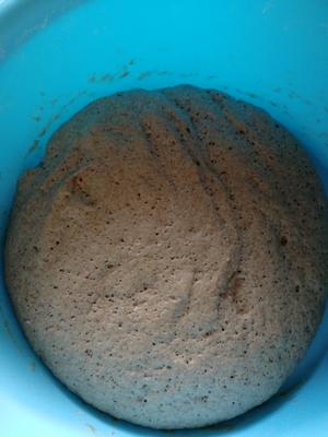 黑麦黑豆沙包的做法 步骤5