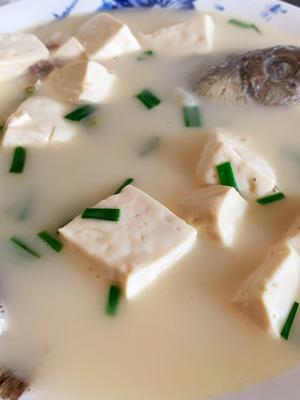奶白鲫鱼豆腐汤的做法 步骤7