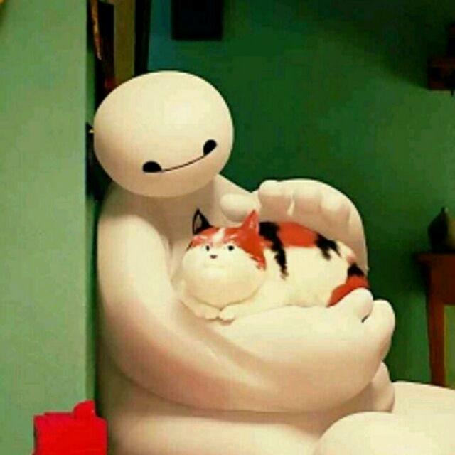 喵小科
