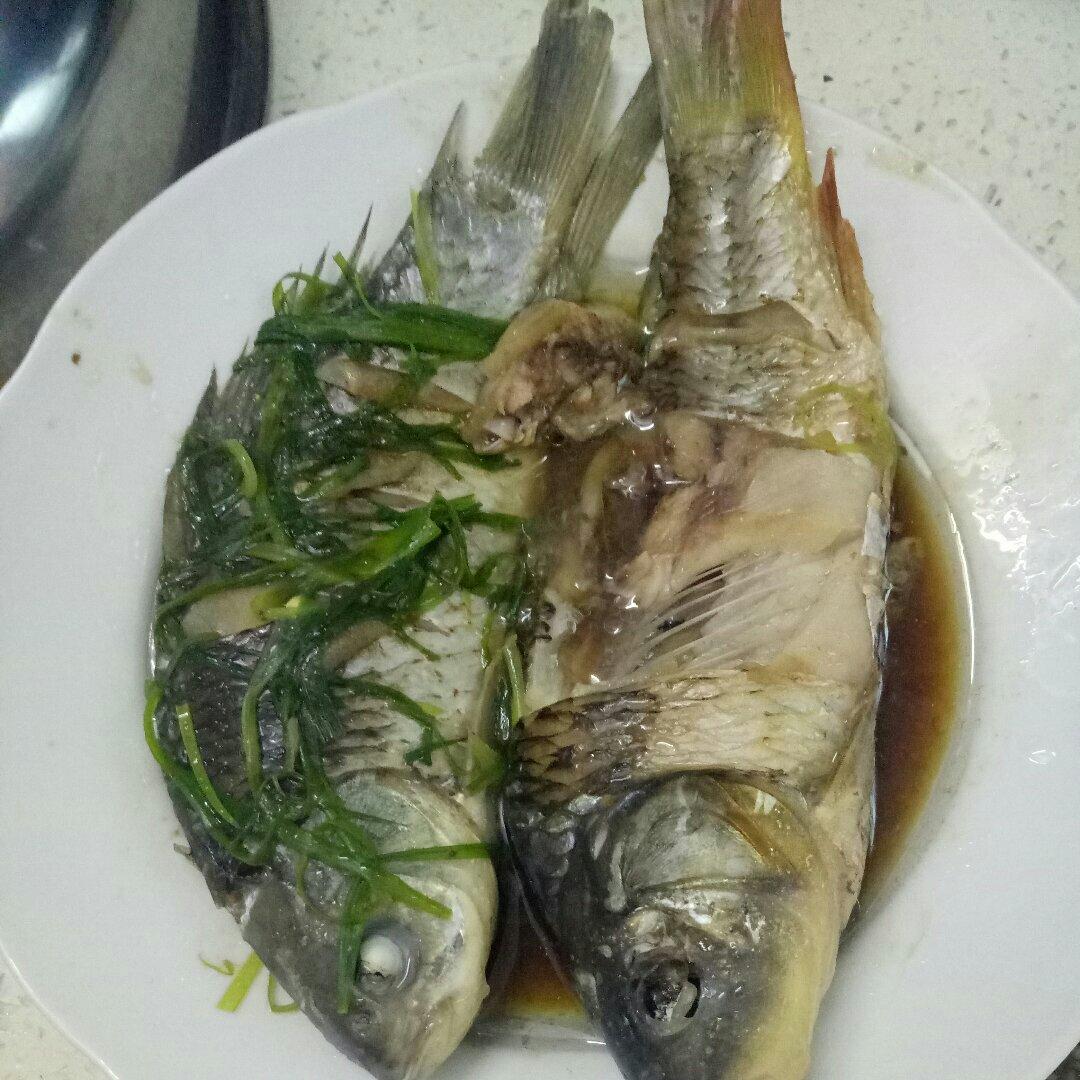 超入味清蒸鱼～清蒸鲈鱼桂花鱼（家常独创）