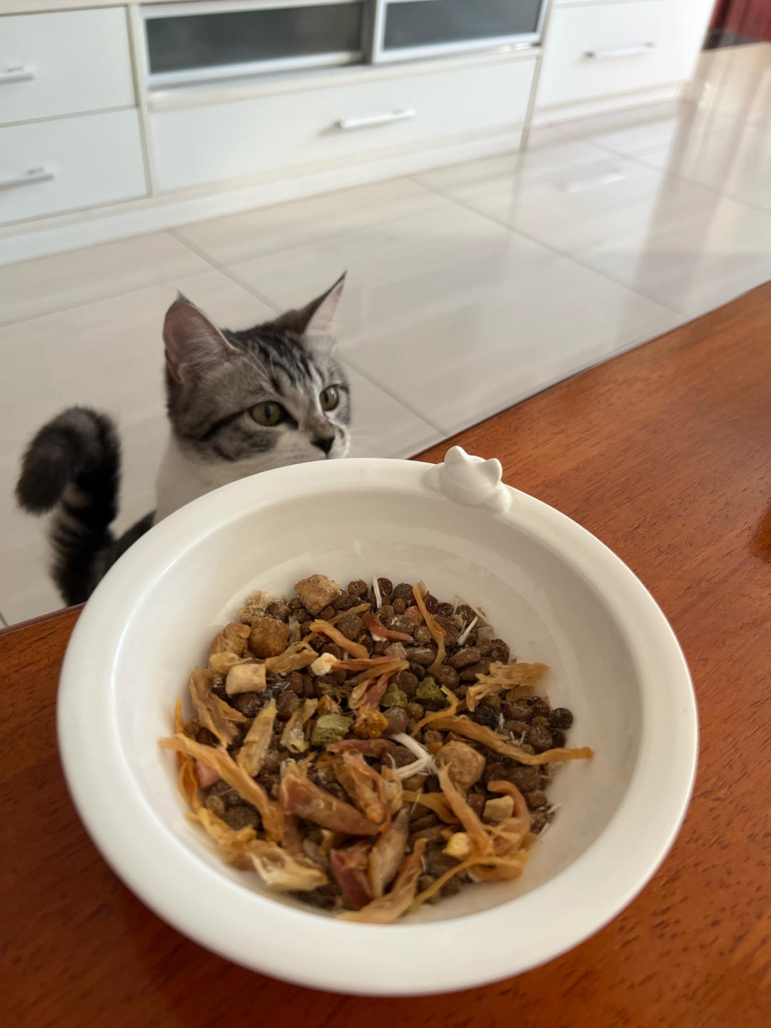 自制猫零食-烤鸡胸肉（烤鸡丝）