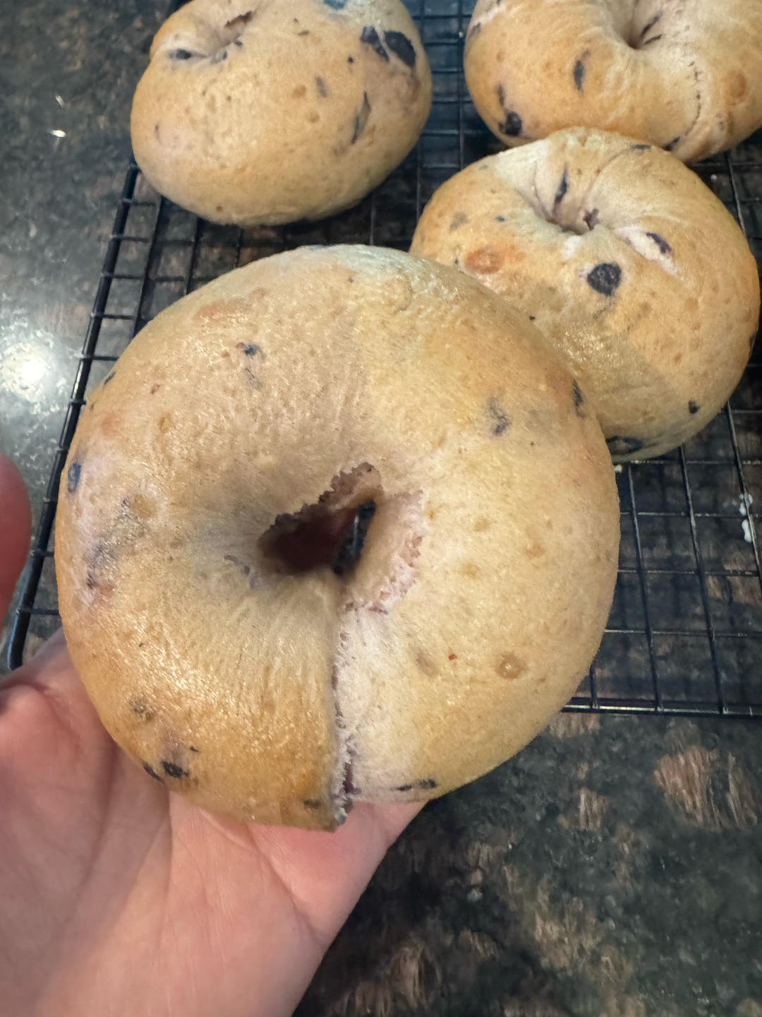 蓝莓🫐乳酪贝果🥯/步骤详细/简单好做