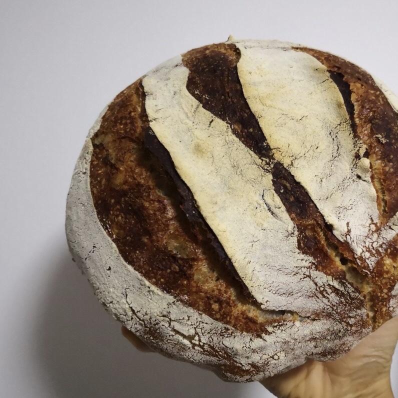 【Tartine Bread】天然酵种黑麦乡村欧包