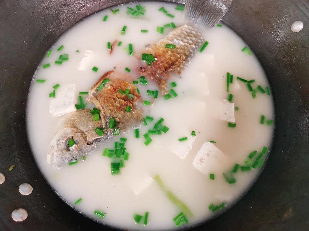 奶白鲫鱼豆腐汤|一条鱼最后的温柔