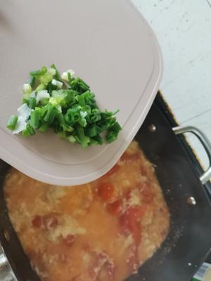 超鹅版的西红柿蛋花汤的做法 步骤10