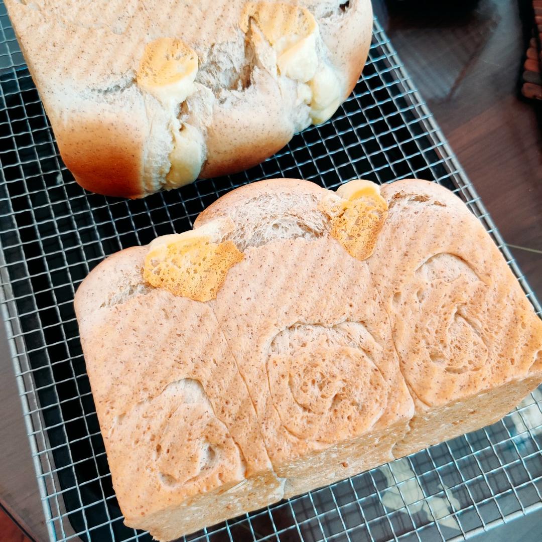 夺命软吐司(๑´ڡ`๑)超软拉丝极速方便的一次发酵吐司