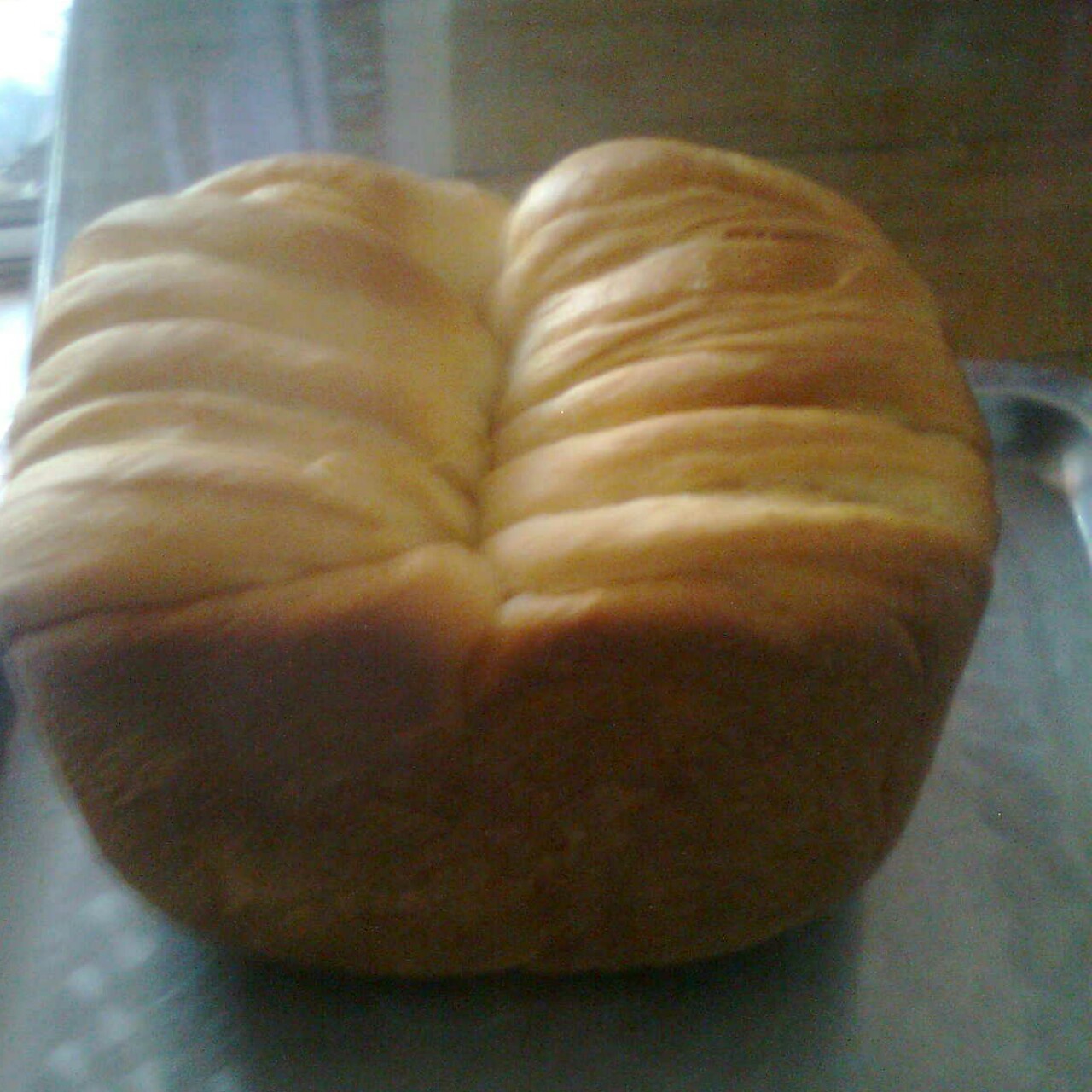 茴香饺子
