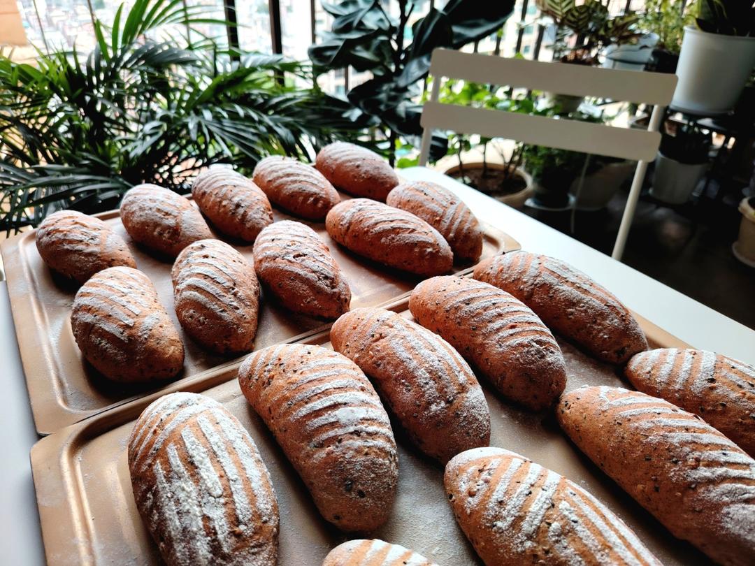 黑麦红枣核桃黑芝麻软欧面包