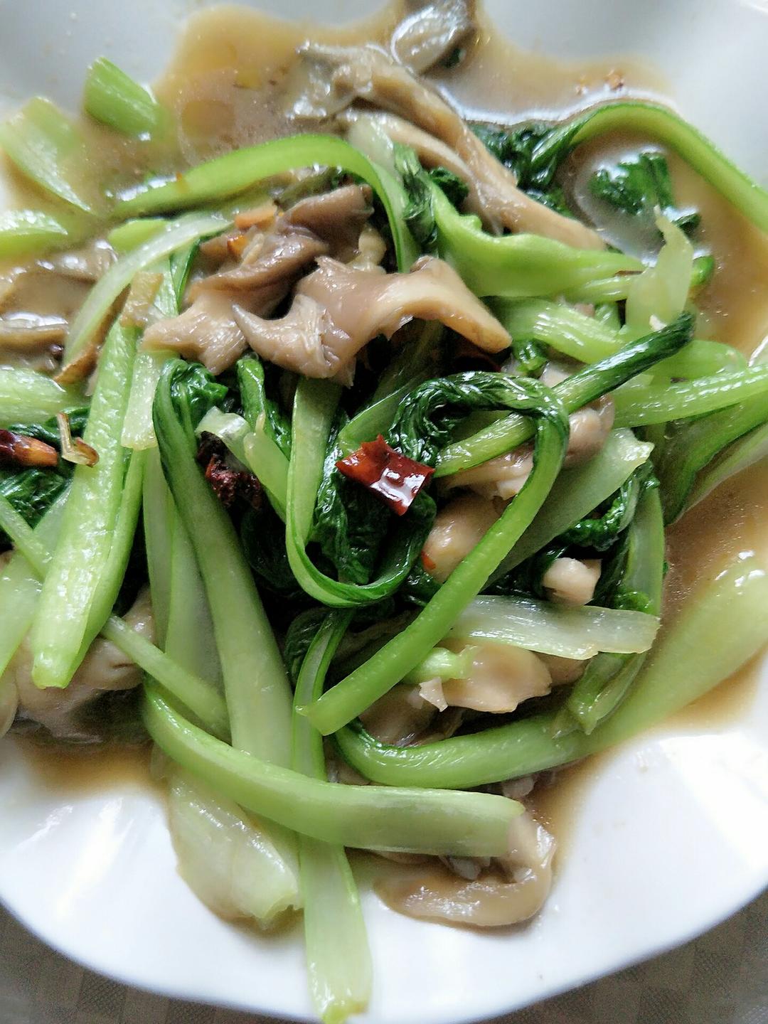平菇炒青菜