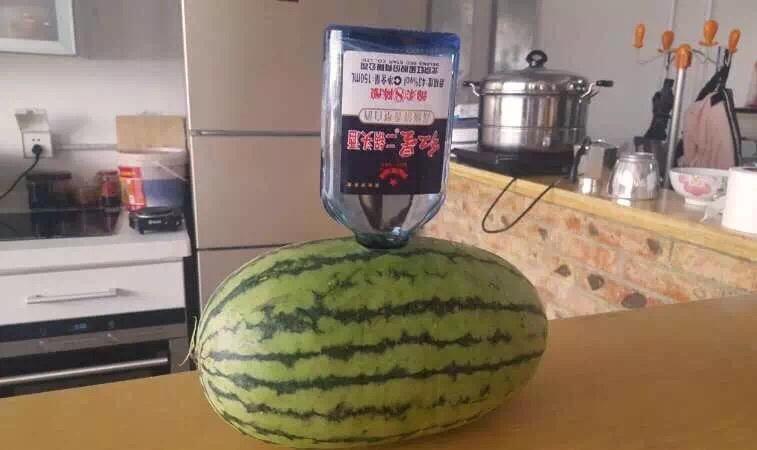 伏特加西瓜