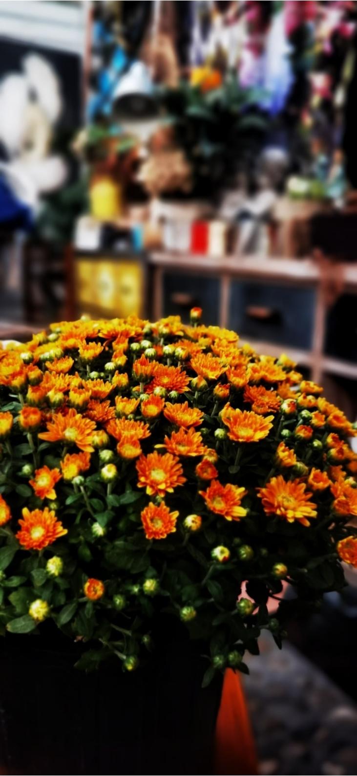 认真生活，唯有美食与爱不可辜负！