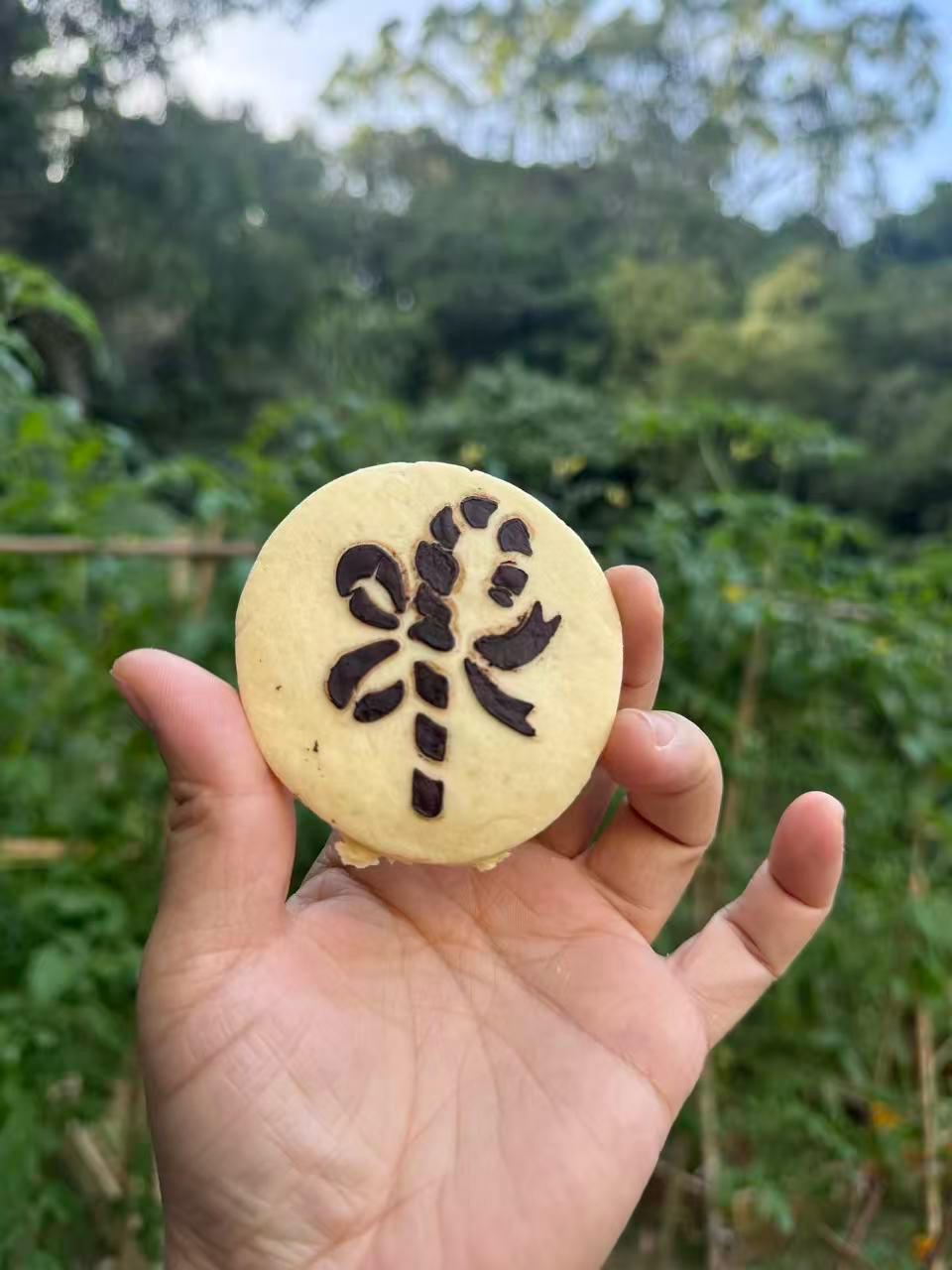 印花基本饼干/糖霜饼干配方