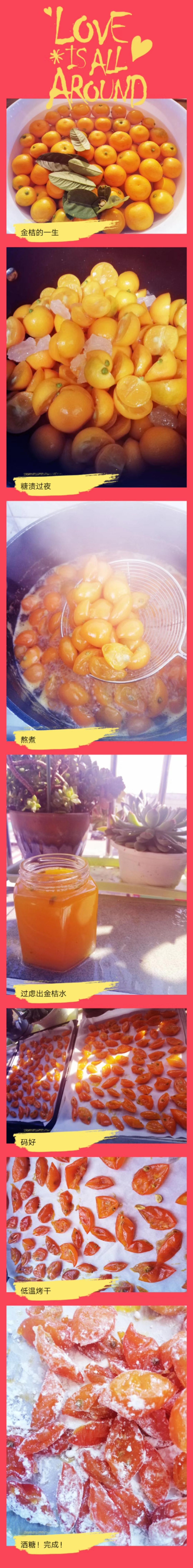 零失败❗️自制金桔蜜饯，干净又美味
