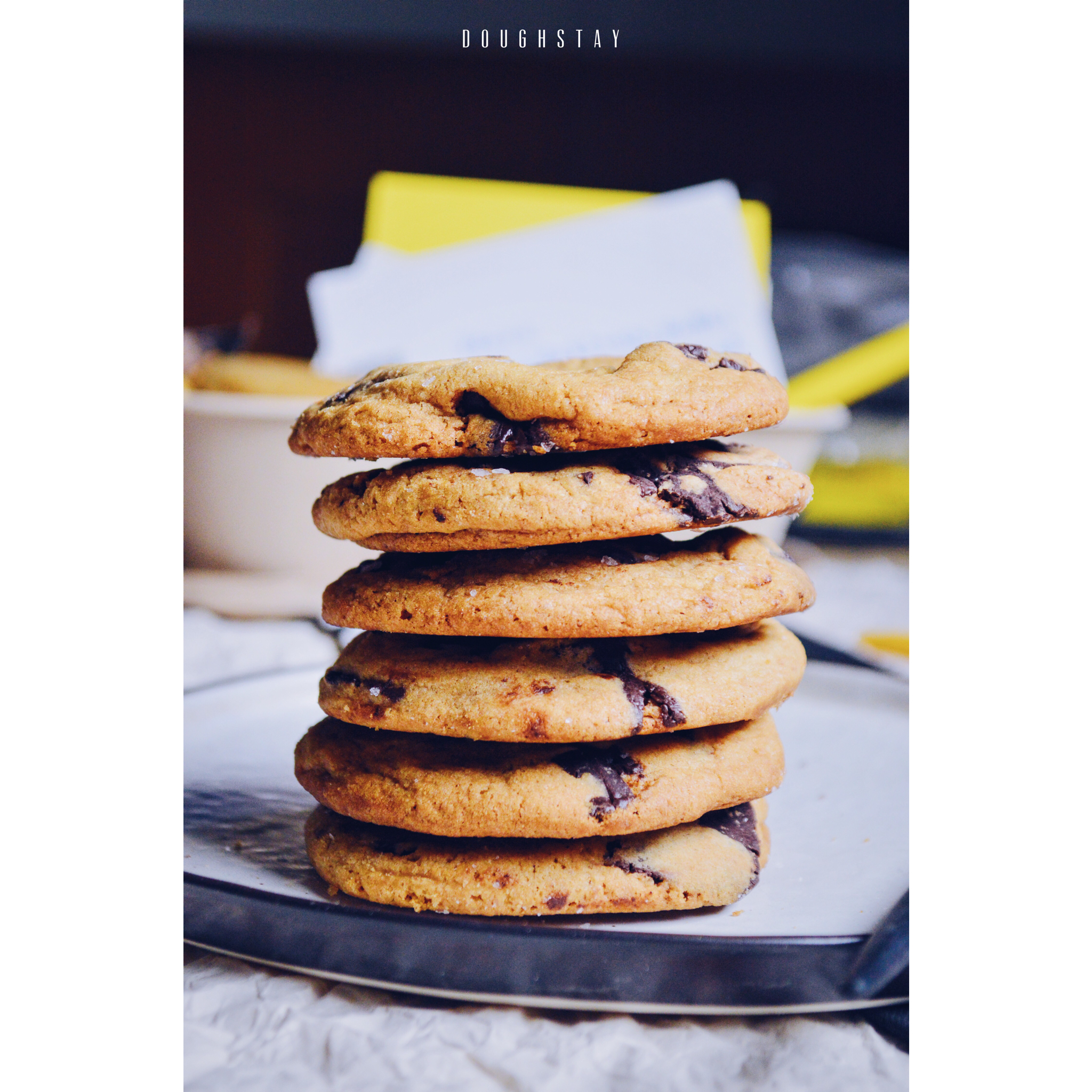 暖暖阳光の蹭蹭幸福……感恩有你