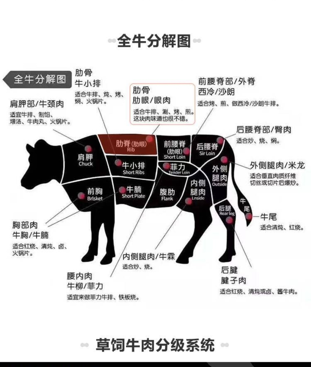 牛肉的部位图解与做法(来自度娘)的做法 步骤12