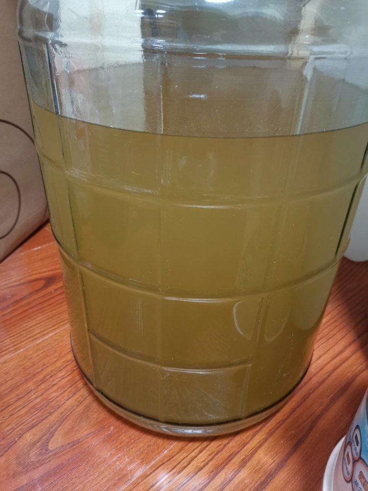 酿猕猴桃酒，自制独特的清新微醺感果酒｜居元素