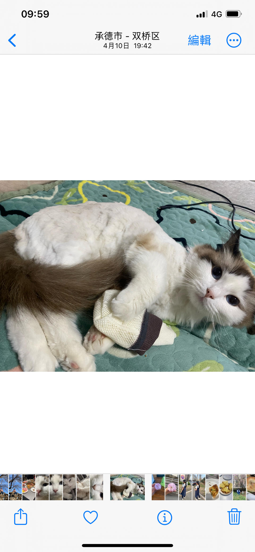 猫饭来啦！！！养膘神饭！猫主子的最爱！！！！超级超级超级简单呀～