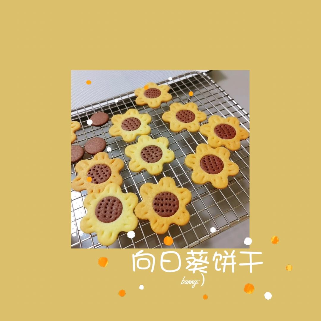 向日葵小饼干