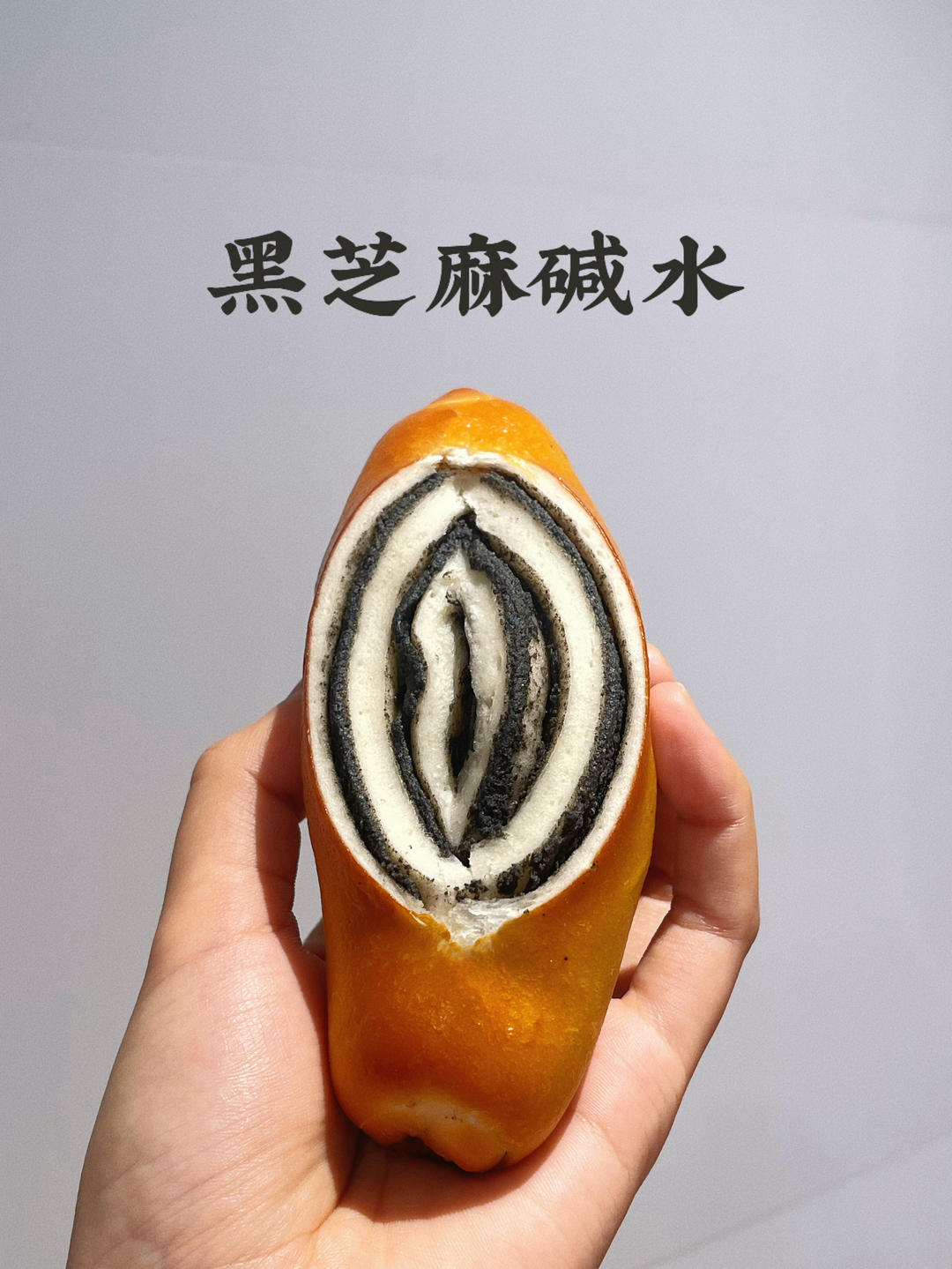 碱水面包体笔记