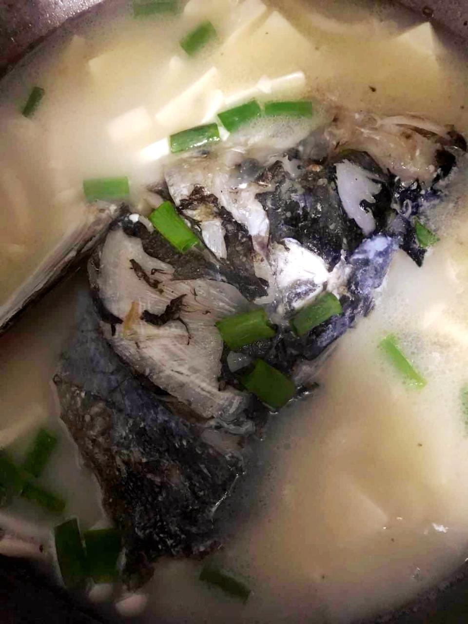 平菇豆腐鱼🐟