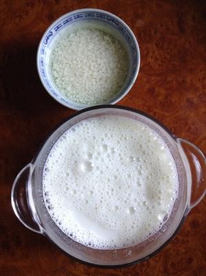 西藏林芝天然雪莲菌版酸奶的做法 步骤3