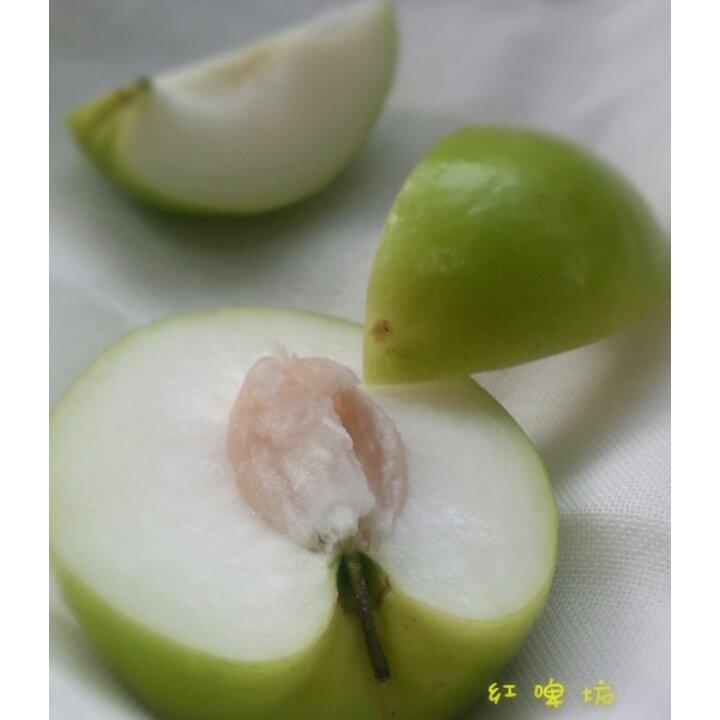 食材日日鲜