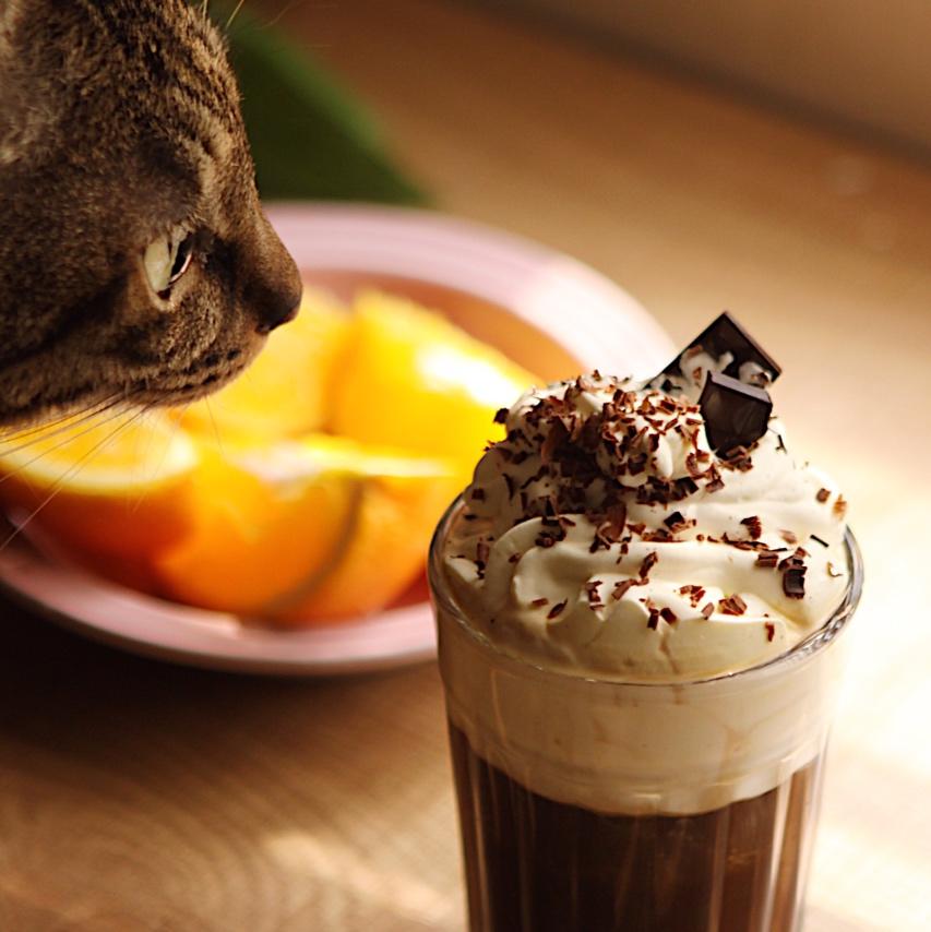 迷糊狗杰西卡做的爱尔兰咖啡irishcoffee