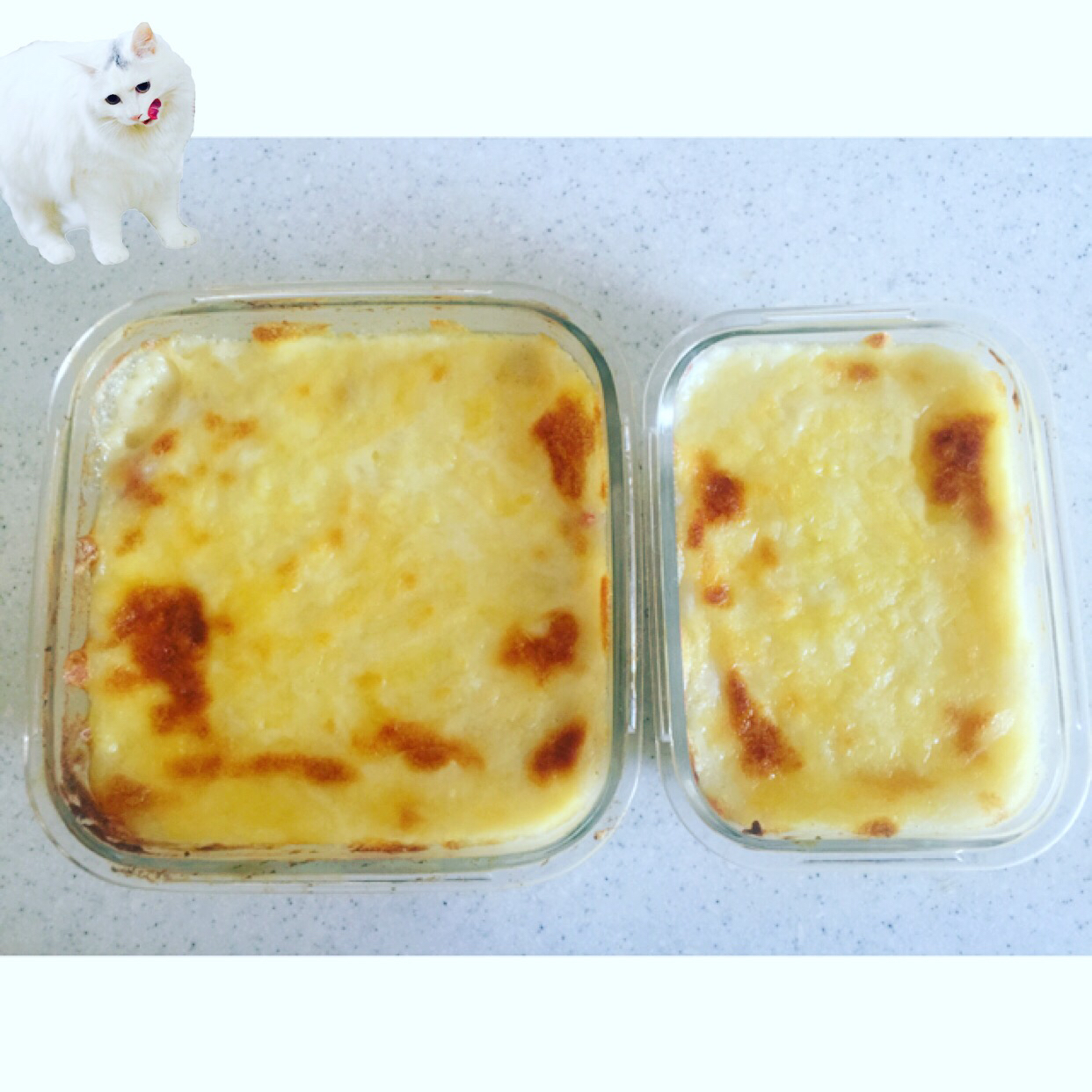 芝士烤土豆泥