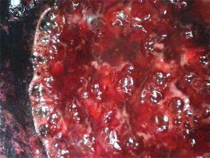 草莓波波蛋糕卷（内含草莓酱做法）的做法 步骤6