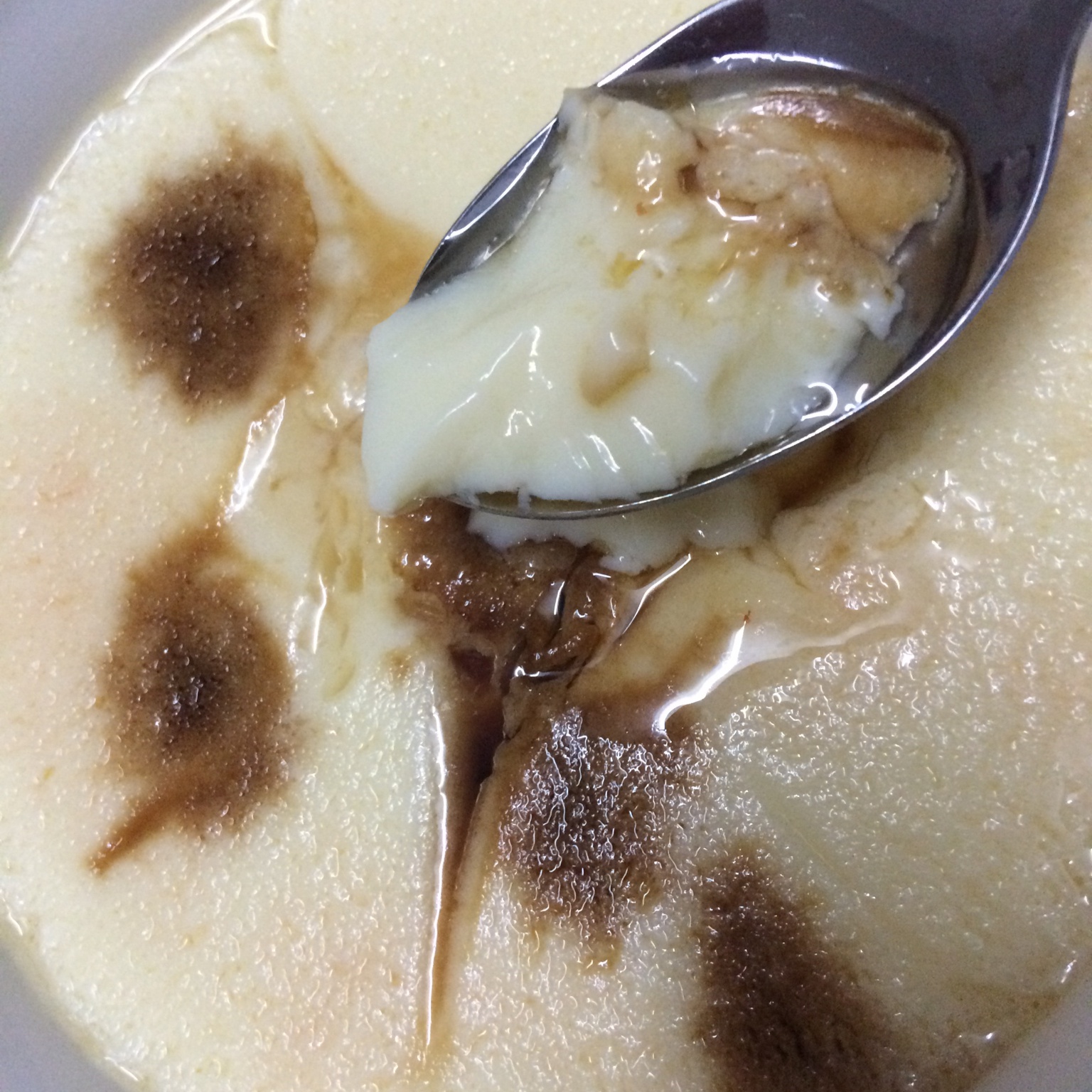 蒸蛋羹 Steamed Egg Pudding