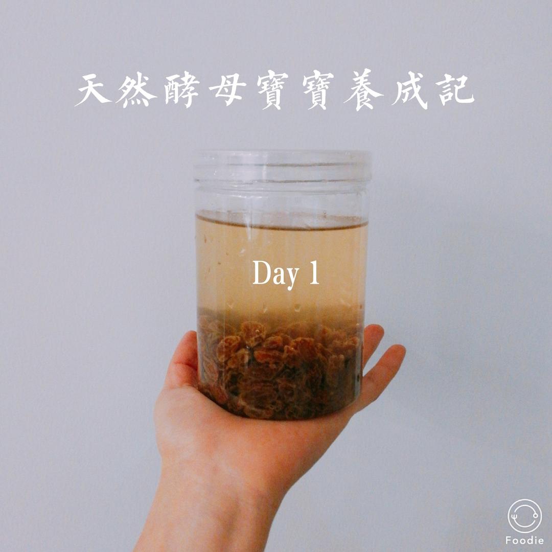 天然酵母宝宝养成记