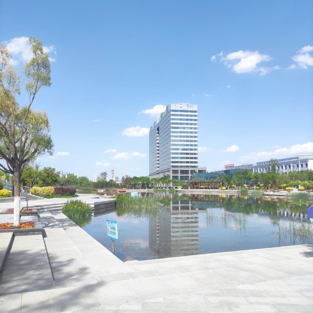 来份蛋炒饭不要蛋也不要饭