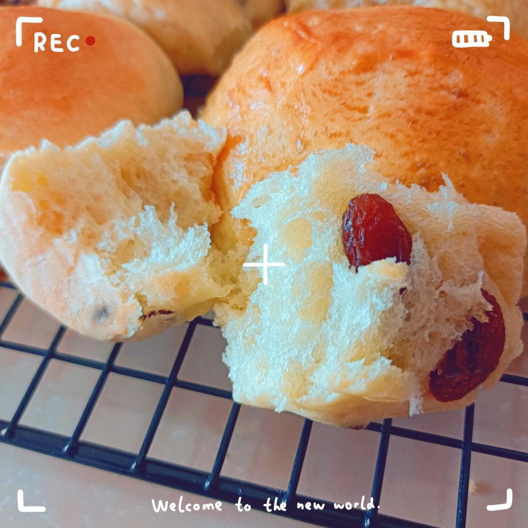 一次发酵的葡萄干方块小面包