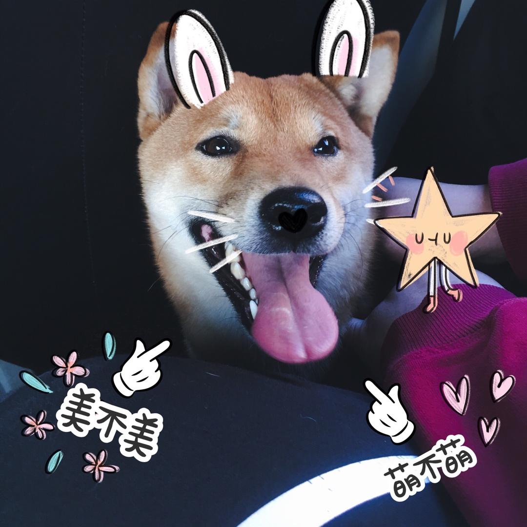 给小权子做的饭