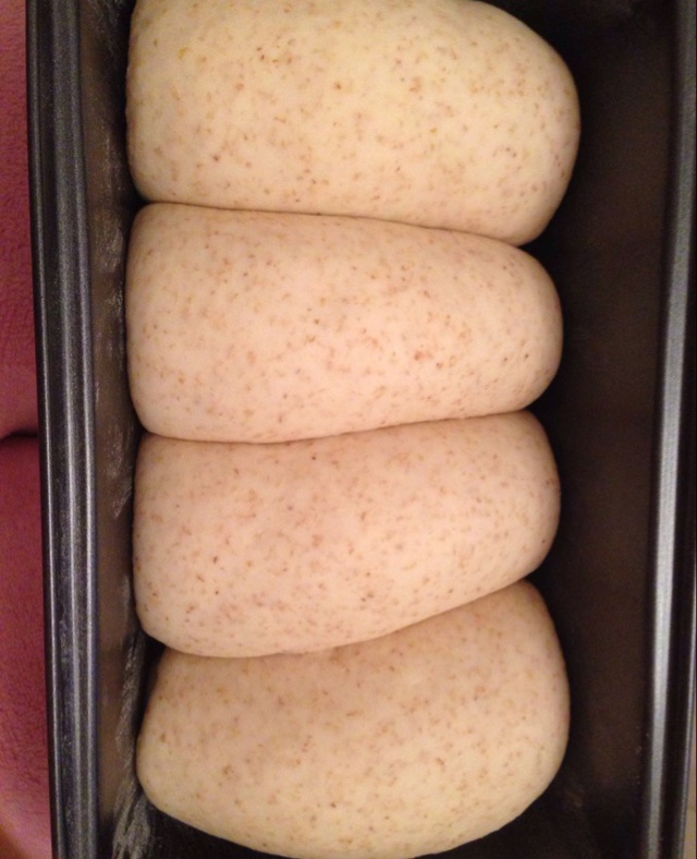 无油无糖 全麦面包 【无需面包机】