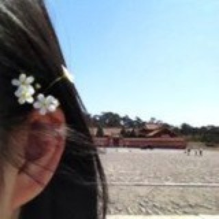 豆豆黑料理专用账号