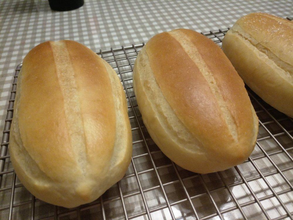 牛奶哈斯