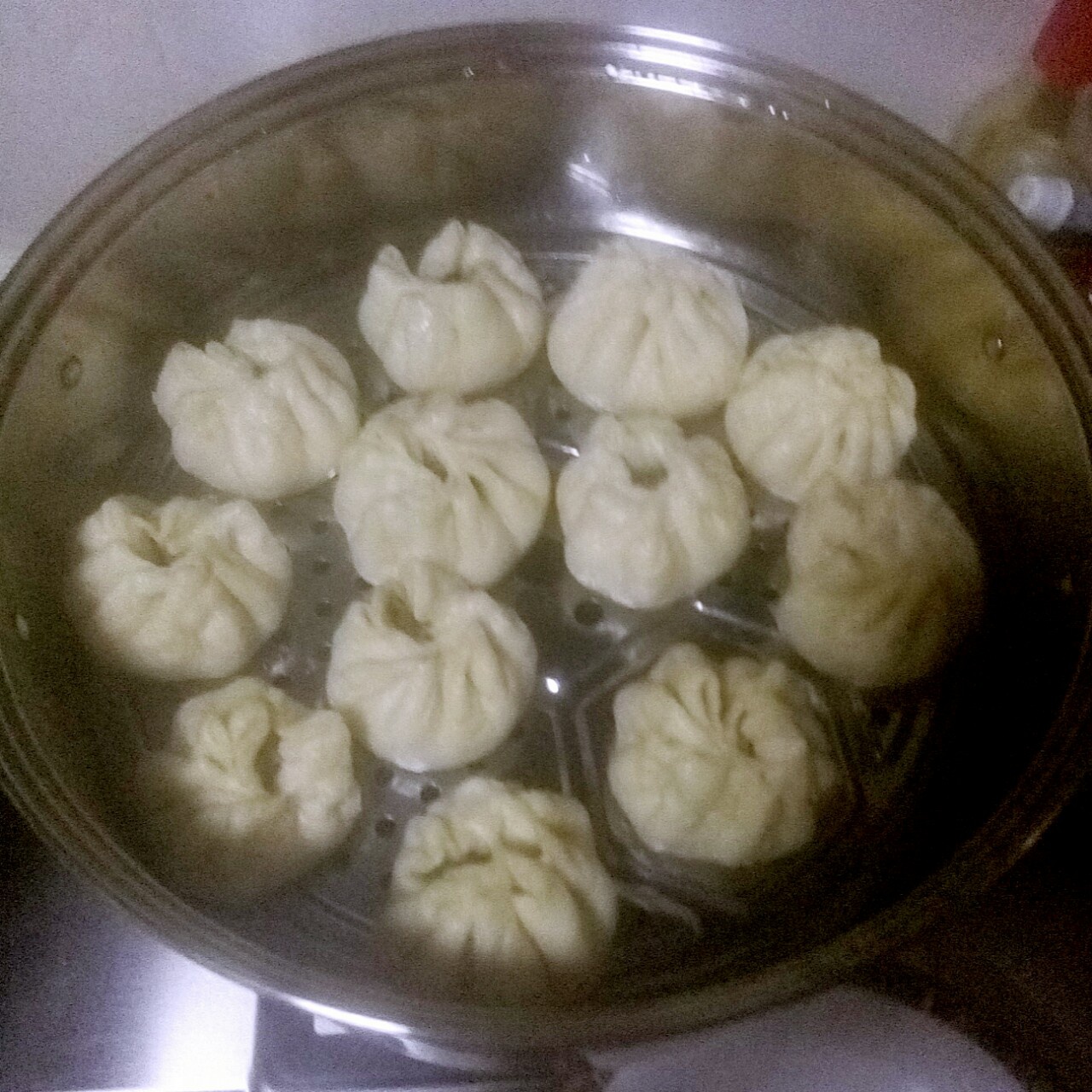 堂妈教你山菜鲜肉大包子