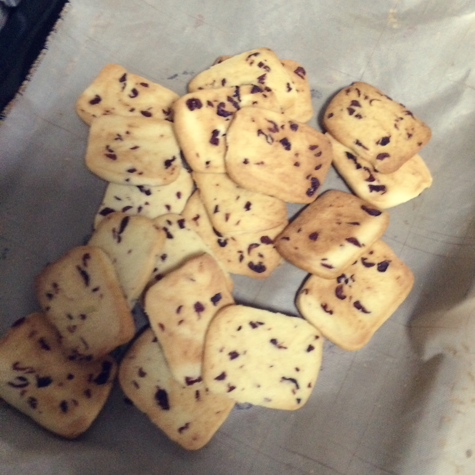 蔓越莓饼干--新手烘焙0压力 #皮黑森林#